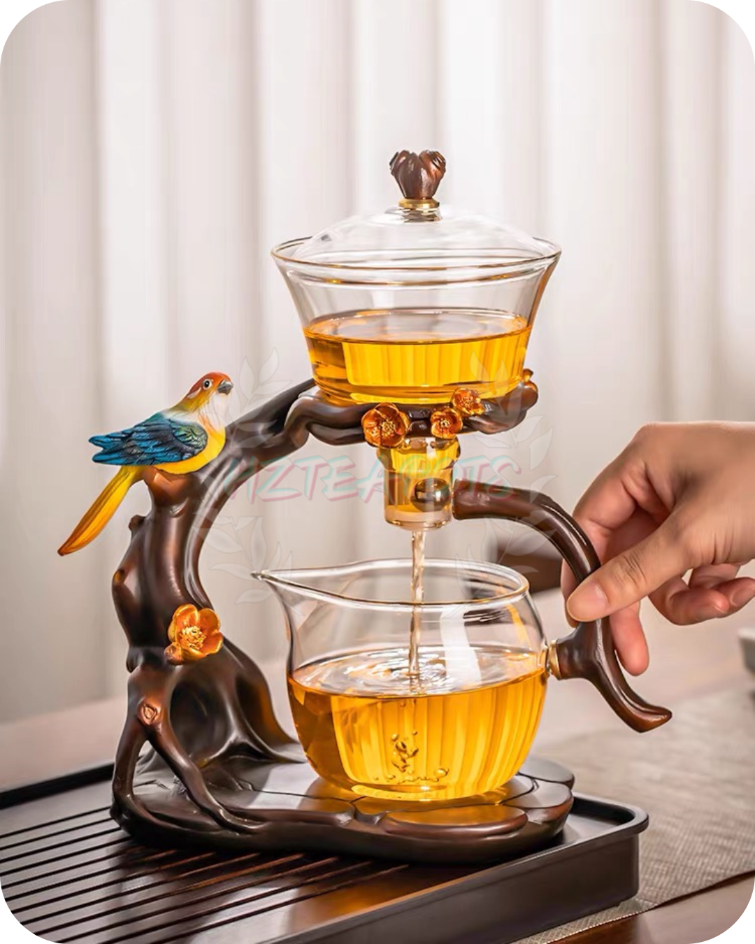 Perroquet | HZTEAPOTS®