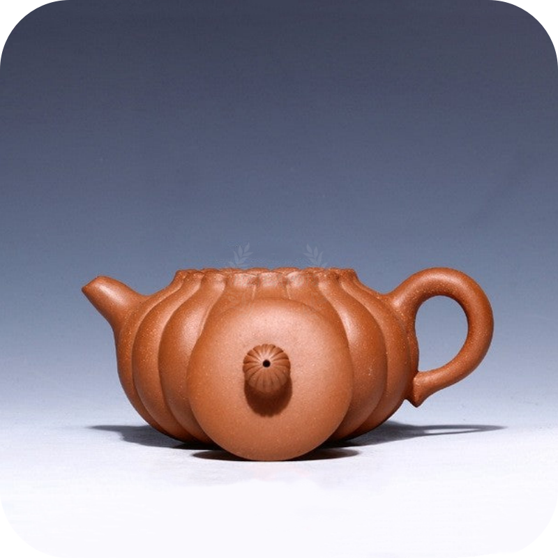 Red Clay Xi Shi Lotus | HZTEAPOTS®