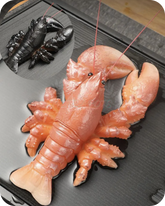 Lobster | HZTEAPOTS®